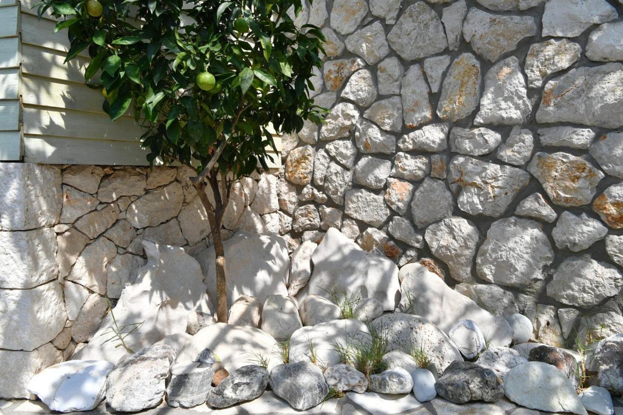 Villa Christianna Studios Áyios Nikítas 外观 照片